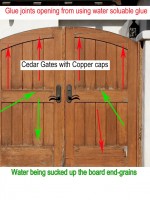 Text Cedar